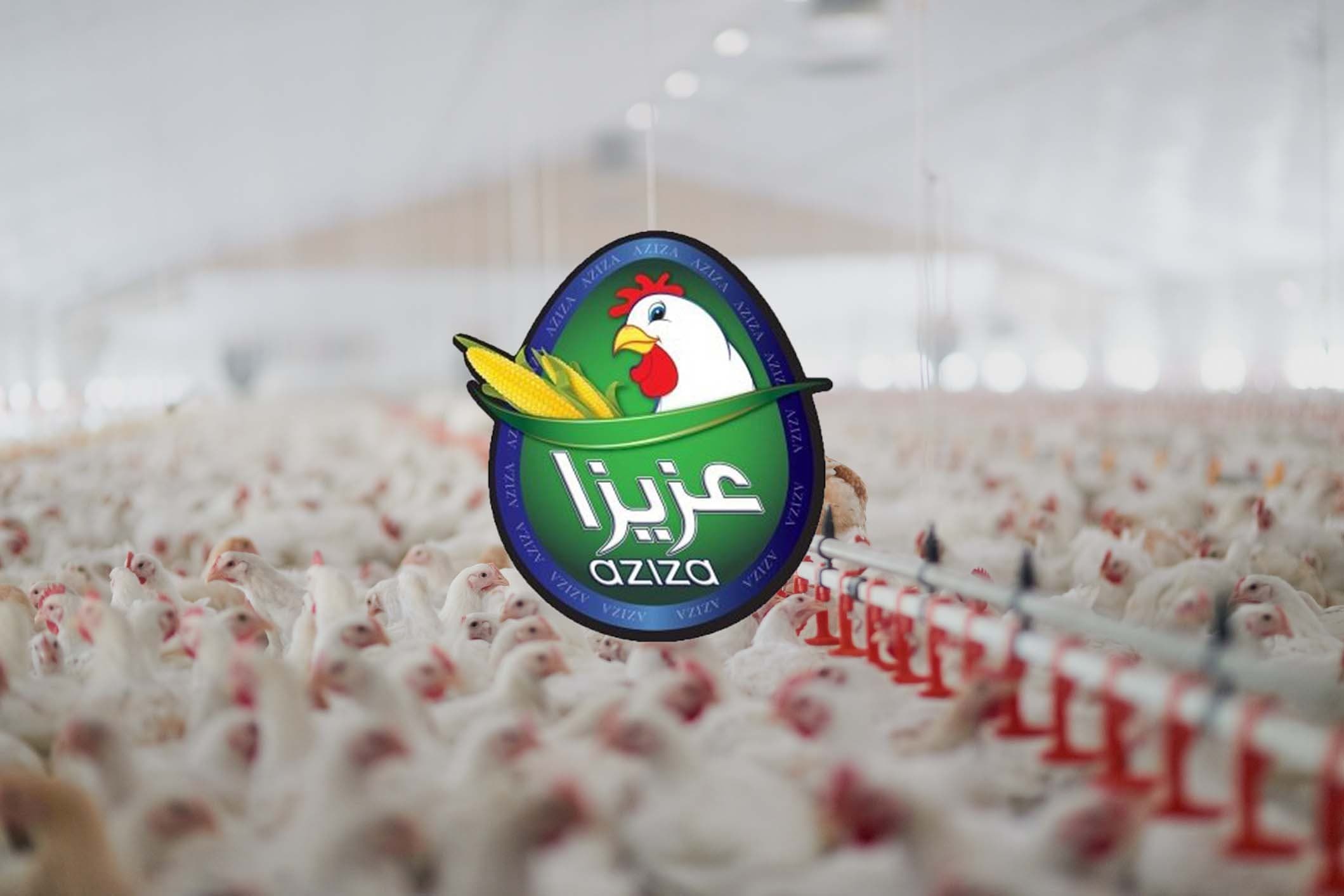 دواجن فلسطين (AZIZA) | بيان صحفي صادر عن بورصة فلسطين